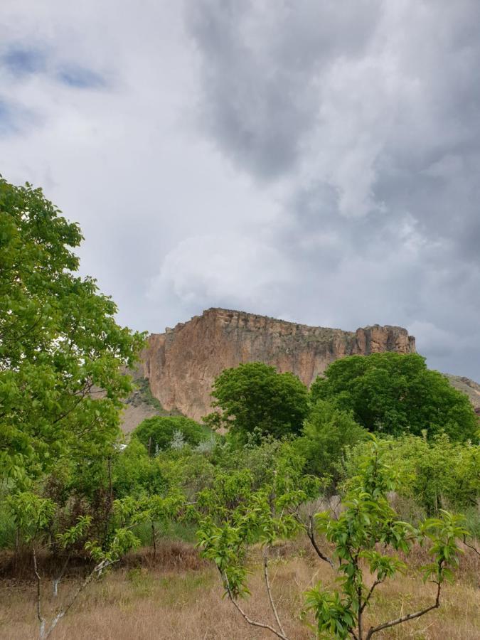 Areni House B&B Εξωτερικό φωτογραφία