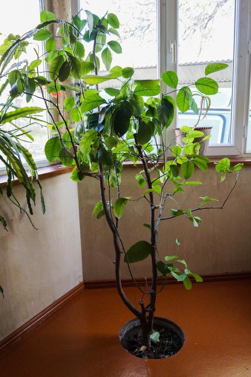 Areni House B&B Εξωτερικό φωτογραφία
