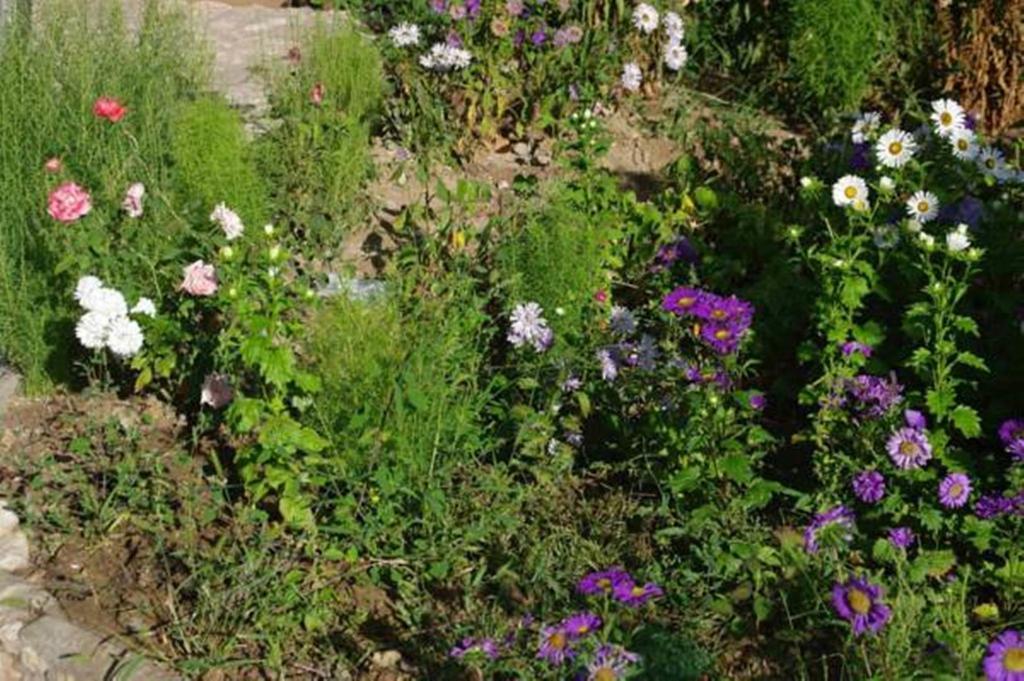 Areni House B&B Εξωτερικό φωτογραφία